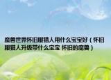 魔獸世界懷舊服獵人用什么寶寶好（懷舊服獵人升級帶什么寶寶 懷舊的魔獸）