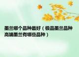墨蘭哪個(gè)品種最好（極品墨蘭品種 高端墨蘭有哪些品種）