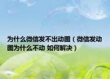 為什么微信發(fā)不出動圖（微信發(fā)動圖為什么不動 如何解決）