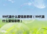 99代表什么愛情意思呀（99代表什么愛情意思）