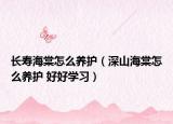 長壽海棠怎么養(yǎng)護（深山海棠怎么養(yǎng)護 好好學(xué)習(xí)）
