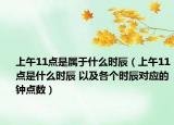 上午11點是屬于什么時辰（上午11點是什么時辰 以及各個時辰對應的鐘點數(shù)）