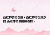 西紅柿要怎么挑（西紅柿怎么挑沙的 西紅柿怎么挑熟透的）
