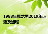 1988年屬龍男2019年運勢及運程