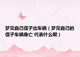 夢(mèng)見(jiàn)自己侄子出車(chē)禍（夢(mèng)見(jiàn)自己的侄子車(chē)禍身亡 代表什么呢）
