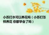 小蘇打水可以養(yǎng)花嗎（小蘇打怎樣養(yǎng)花 你都學(xué)會了嗎）