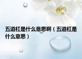 五道杠是什么意思?。ㄎ宓栏苁鞘裁匆馑迹? /></span></a>
                        <h2><a href=
