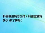 科雷傲油耗怎么樣（科雷傲油耗多少 你了解嗎）