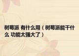 樹莓派 有什么用（樹莓派能干什么 功能太強(qiáng)大了）
