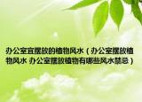 辦公室宜擺放的植物風(fēng)水（辦公室擺放植物風(fēng)水 辦公室擺放植物有哪些風(fēng)水禁忌）