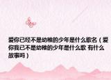 愛你已經不是幼稚的少年是什么歌名（愛你我已不是幼稚的少年是什么歌 有什么故事嗎）