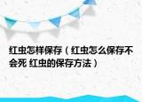 紅蟲(chóng)怎樣保存（紅蟲(chóng)怎么保存不會(huì)死 紅蟲(chóng)的保存方法）