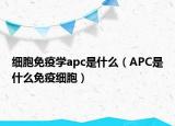 細胞免疫學apc是什么（APC是什么免疫細胞）