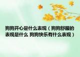 狗狗開心是什么表現(xiàn)（狗狗舒服的表現(xiàn)是什么 狗狗快樂有什么表現(xiàn)）