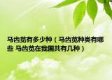 馬齒莧有多少種（馬齒莧種類有哪些 馬齒莧在我國共有幾種）