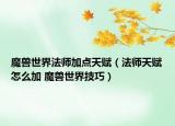 魔獸世界法師加點(diǎn)天賦（法師天賦怎么加 魔獸世界技巧）