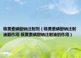 核黃素磷酸鈉注射劑（核黃素磷酸鈉注射液副作用 核黃素磷酸鈉注射液的作用）