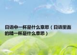 日語(yǔ)中一杯是什么意思（日語(yǔ)里面的精一杯是什么意思）