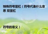 特殊符號(hào)豎杠（符號(hào)代表什么意思 雙豎杠||符號(hào)的意義）