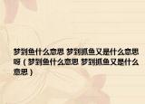 夢(mèng)到魚(yú)什么意思 夢(mèng)到抓魚(yú)又是什么意思呀（夢(mèng)到魚(yú)什么意思 夢(mèng)到抓魚(yú)又是什么意思）