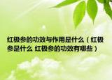 紅極參的功效與作用是什么（紅極參是什么 紅極參的功效有哪些）