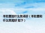 羊肚菌加什么煲湯好（羊肚菌和什么煲湯好 如下）