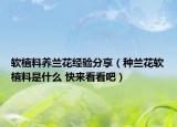 軟植料養(yǎng)蘭花經(jīng)驗(yàn)分享（種蘭花軟植料是什么 快來(lái)看看吧）