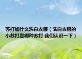 蘇打加什么洗白衣服（洗白衣服的小蘇打是哪種蘇打 我們認識一下）