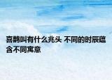喜鵲叫有什么兆頭 不同的時辰蘊含不同寓意