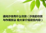 請問沙蟲有什么功效（沙蟲的功效與作用禁忌 給大家介紹這些內(nèi)容）