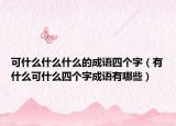 可什么什么什么的成語四個(gè)字（有什么可什么四個(gè)字成語有哪些）