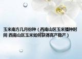 玉米南方幾月份種（西南山區(qū)玉米播種時間 西南山區(qū)玉米如何獲得高產(chǎn)穩(wěn)產(chǎn)）