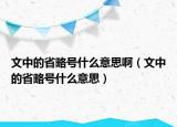 文中的省略號什么意思?。ㄎ闹械氖÷蕴柺裁匆馑迹? /></span></a>
                        <h2><a href=