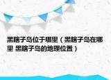 黑瞎子島位于哪里（黑瞎子島在哪里 黑瞎子島的地理位置）