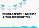 顆粒捕捉器百度百科（顆粒捕捉器工作原理 顆粒捕捉器的作用）