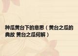 種瓜黃臺下的意思（黃臺之瓜的典故 黃臺之瓜何解）
