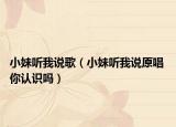 小妹聽我說(shuō)歌（小妹聽我說(shuō)原唱 你認(rèn)識(shí)嗎）