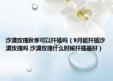 沙漠玫瑰秋季可以扦插嗎（9月能扦插沙漠玫瑰嗎 沙漠玫瑰什么時(shí)候扦插最好）