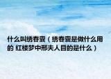 什么叫繡春囊（繡春囊是做什么用的 紅樓夢(mèng)中邢夫人目的是什么）