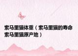 索馬里貓體重（索馬里貓的壽命 索馬里貓原產(chǎn)地）