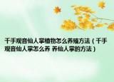 千手觀音仙人掌植物怎么養(yǎng)殖方法（千手觀音仙人掌怎么養(yǎng) 養(yǎng)仙人掌的方法）