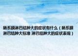 腸系膜淋巴結(jié)腫大的癥狀有什么（腸系膜淋巴結(jié)腫大標(biāo)準(zhǔn) 淋巴結(jié)腫大的癥狀表現(xiàn)）