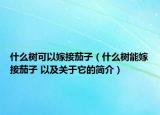 什么樹可以嫁接茄子（什么樹能嫁接茄子 以及關(guān)于它的簡介）