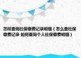 怎樣查詢社保繳費(fèi)記錄明細(xì)（怎么查社保繳費(fèi)記錄 如何查詢個(gè)人社保繳費(fèi)明細(xì)）