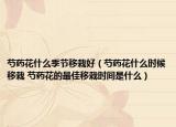 芍藥花什么季節(jié)移栽好（芍藥花什么時(shí)候移栽 芍藥花的最佳移栽時(shí)間是什么）