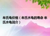牟氏龜價(jià)格（牟氏水龜?shù)膲勖?牟氏水龜簡(jiǎn)介）