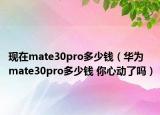 現(xiàn)在mate30pro多少錢（華為mate30pro多少錢 你心動了嗎）
