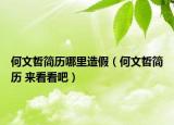 何文哲簡(jiǎn)歷哪里造假（何文哲簡(jiǎn)歷 來看看吧）
