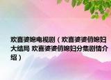 歡喜婆媳電視?。g喜婆婆俏媳婦大結(jié)局 歡喜婆婆俏媳婦分集劇情介紹）