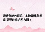 塘鱧魚能養(yǎng)殖嗎（本地塘鲺魚養(yǎng)殖 需要注意這四方面）